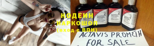 сатива Медвежьегорск