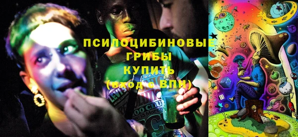 прущие крисы Алексин