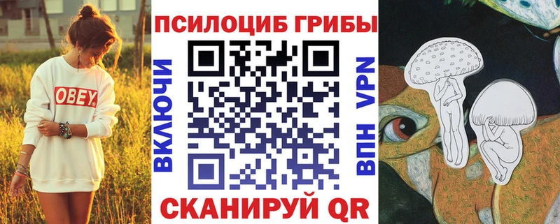 Псилоцибиновые грибы мицелий  Электрогорск 