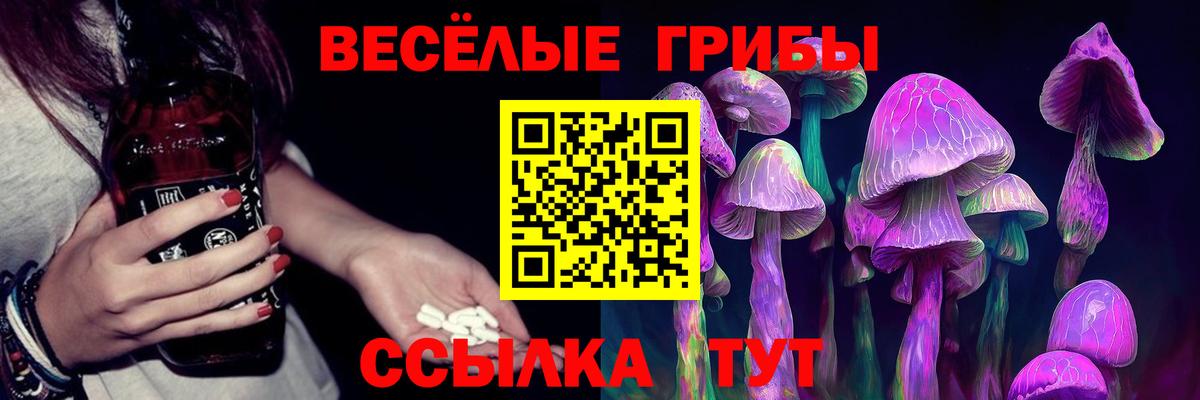 Галлюциногенные грибы прущие грибы  Псилоцибиновые грибы GOLDEN TEACHER  Вход с VPN  Электрогорск 